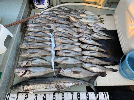 オーシャンスター(Ocean Star) …