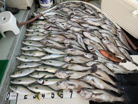 オーシャンスター(Ocean Star) …