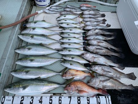 オーシャンスター(Ocean Star) …