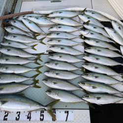 オーシャンスター(Ocean Star) 釣果