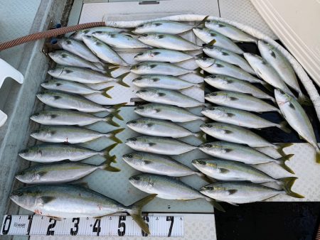 オーシャンスター(Ocean Star) …