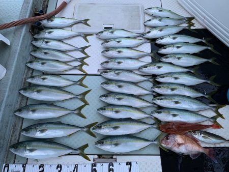 オーシャンスター(Ocean Star) …