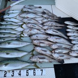 オーシャンスター(Ocean Star) 釣果