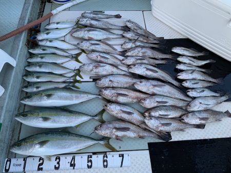 オーシャンスター(Ocean Star) …