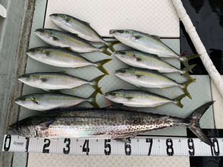 オーシャンスター(Ocean Star) …