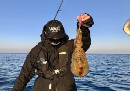 South Current 釣果