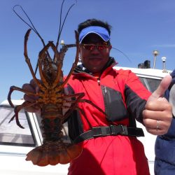 JDI Racing シールズマリンレジャー 釣果