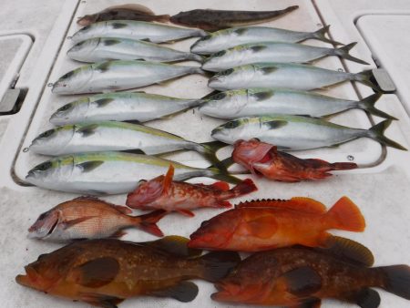 JDI Racing シールズマリンレジャー 釣果