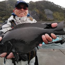 宮島丸 釣果