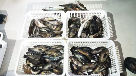 KIM Fishing Guide Ser…