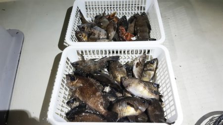 KIM Fishing Guide Ser…