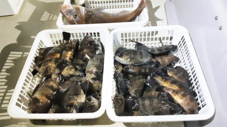 KIM Fishing Guide Ser…