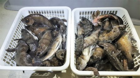 KIM Fishing Guide Ser…