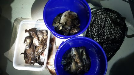 KIM Fishing Guide Ser…