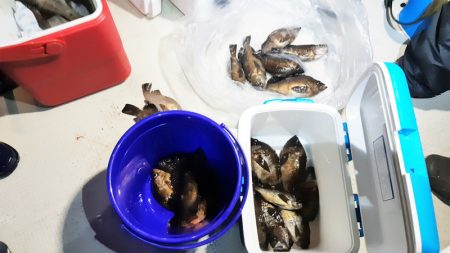 KIM Fishing Guide Ser…