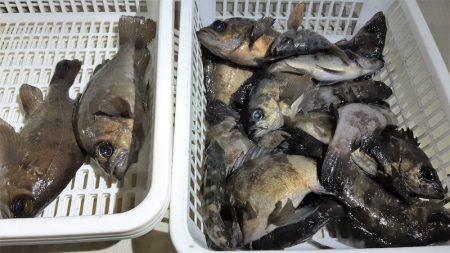 KIM Fishing Guide Ser…