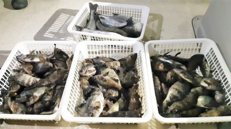 KIM Fishing Guide Ser…