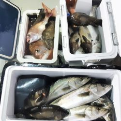 KIM Fishing Guide Service 釣果