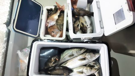 KIM Fishing Guide Ser…