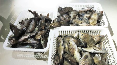 KIM Fishing Guide Ser…