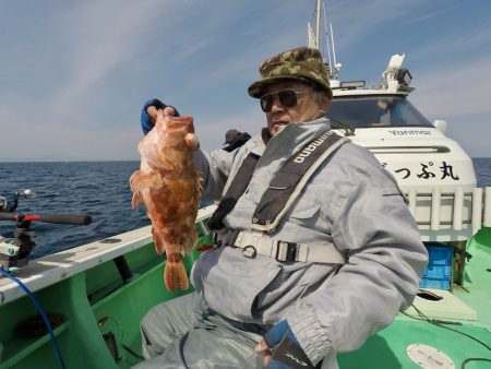 べっぷ丸 釣果