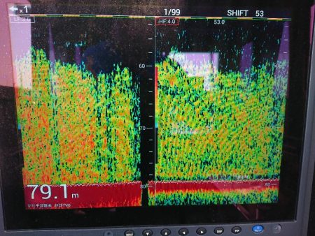 深川 吉野屋 釣果