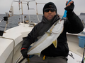 釣船　キティ 釣果