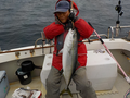 釣船 キティ 釣果