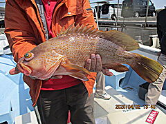 遊漁船 未紗奈 釣果