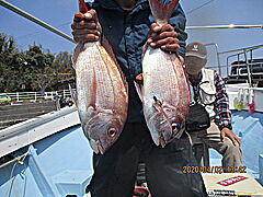 遊漁船 未紗奈 釣果