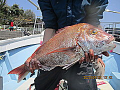 遊漁船 未紗奈 釣果