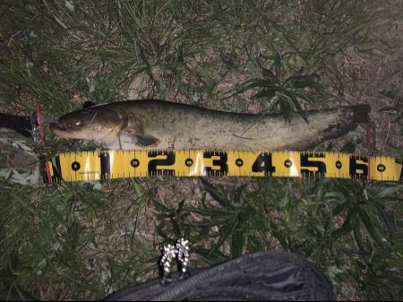 流れ込みが重要