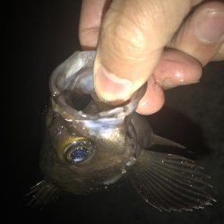 晩飯までの短時間