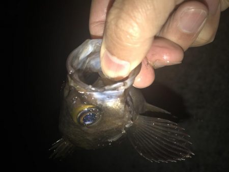 晩飯までの短時間