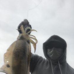 和歌山中紀エギングで春イカやっと釣れた