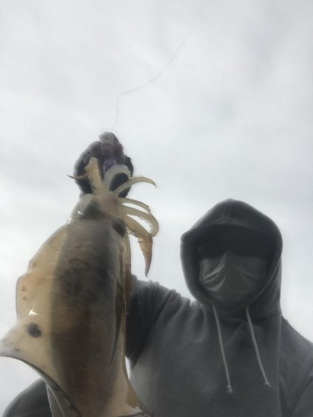 和歌山中紀エギングで春イカやっと釣れた