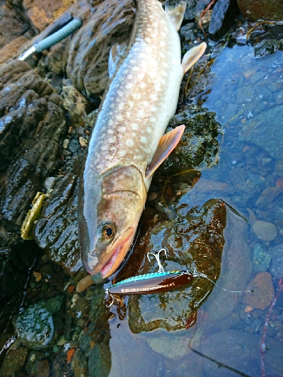 家の目の前でキャッチ！