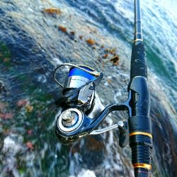 セルテート入魂！