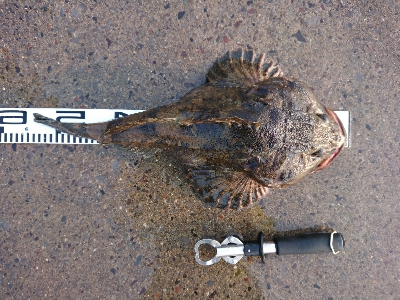 日本記録に届かず…