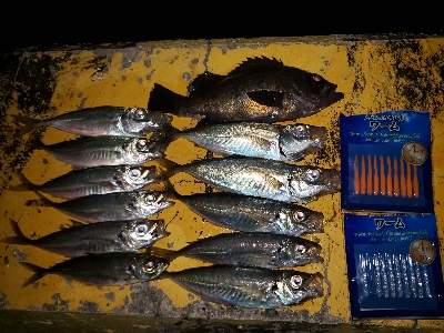 DAISOワームチャレンジ