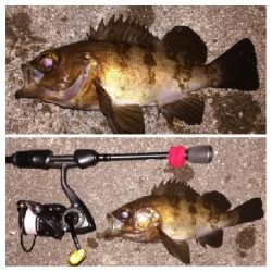 メバリング1845〜1927