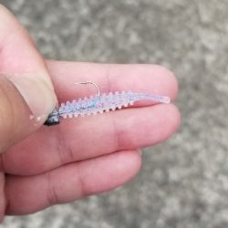 宮崎町　箕島漁港でアジング