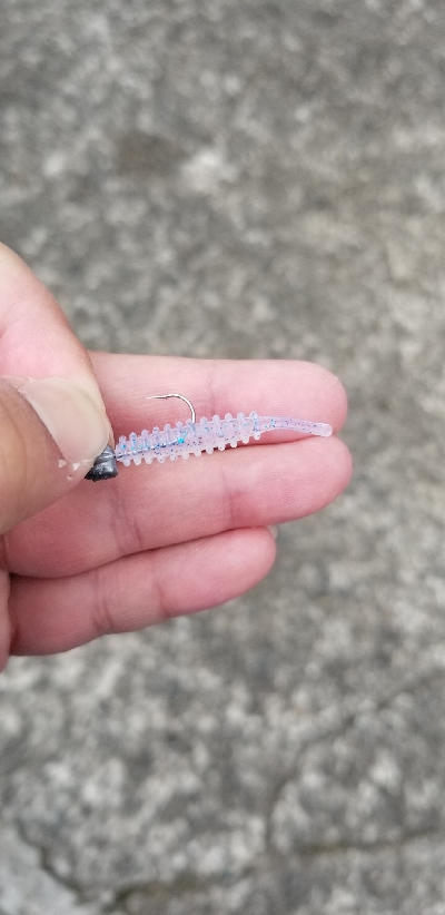 宮崎町　箕島漁港でアジング