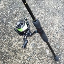 アジング　初キャロ