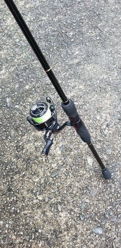 アジング　初キャロ