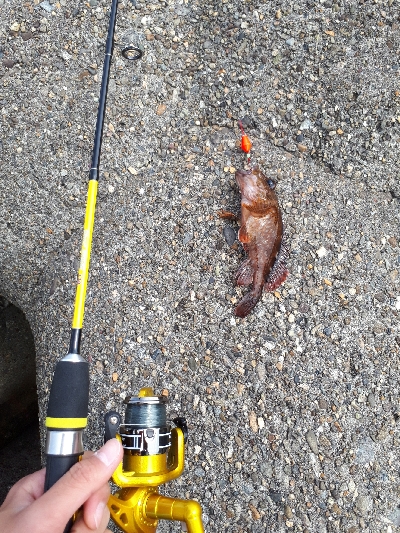 穴釣りで爆釣!!