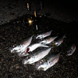 今回もいつもの神戸港