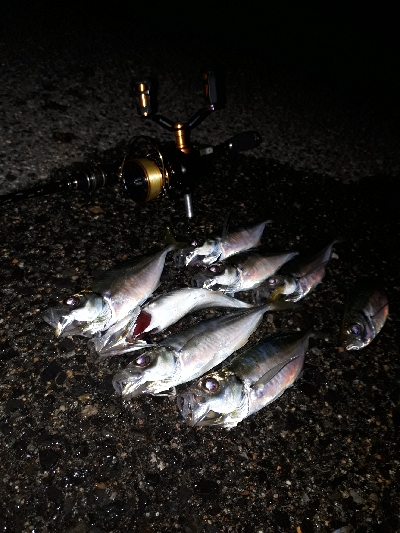 今回もいつもの神戸港