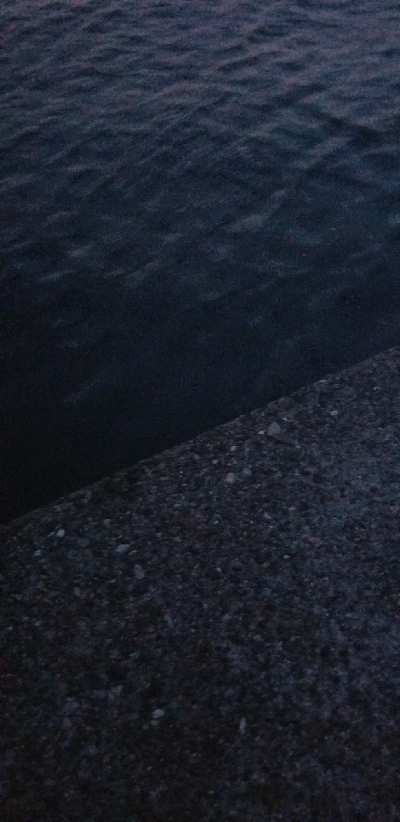 アジングのアジで色々