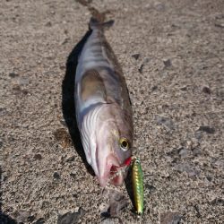 ホッケシーズン開幕！